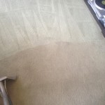 Carpet-Cleaning-San Carlos
