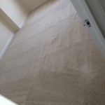 San Carlos-Carpet-Clean-room