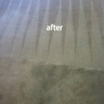 San Carlos-Carpet-Cleaning-Carpet-Cleaning