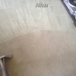 San Carlos-Carpet-Cleaning-Company