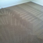 San Carlos-Carpet-Cleaning-Wall-To-Wall