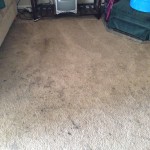 San Carlos-Dirty-Carpet