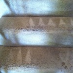 San Carlos-Stairs-Carpet-Cleaning