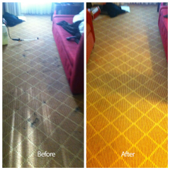 San Carlos Carpet Cleaned before and after